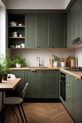 Interior of modern kitchen. Green color.