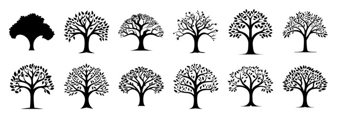 Tree silhouettes set, large pack of vector silhouette design, isolated white background.