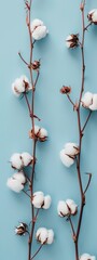 cotton branches on a light blue background.
