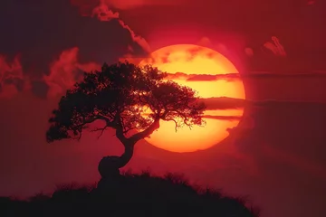 Fotobehang Silhouette of a lone tree against a fiery sunset.  © Tachfine Art