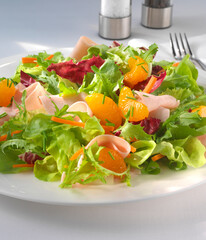 Fitness-Salat, Mandarine, Salat, Kochschinken, Tellergericht, 