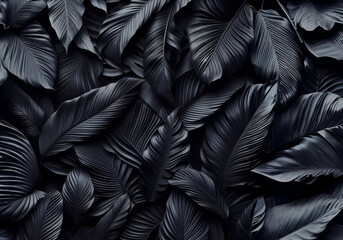 a black background with black leaf