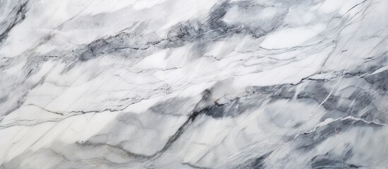 Gray and white marble showcasing natural patterns with distinctive dark veins for backgrounds and design projects
