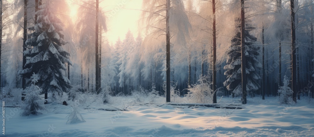 Poster snow-covered trees stand tall in a winter forest landscape, creating a serene and tranquil setting w