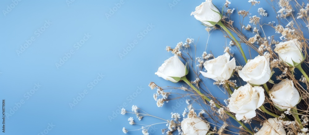 Poster a beautiful arrangement of white dry roses and baby's breath on a calming blue background, creating 