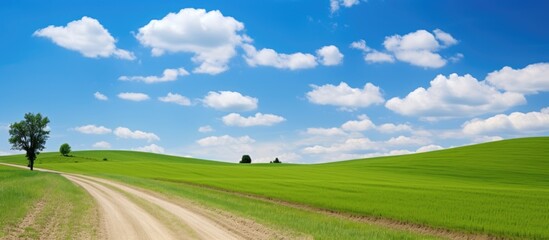 Scenic rural gravel road cutting through a vibrant green field with a single tree under the clear blue sky
