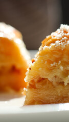 Delicious Sütlü Nuriye Dessert - Close-Up Shot with Tempting Presentation
This enticing close-up shot captures the irresistible charm of Sütlü Nuriye, a delightful Turkish dessert 