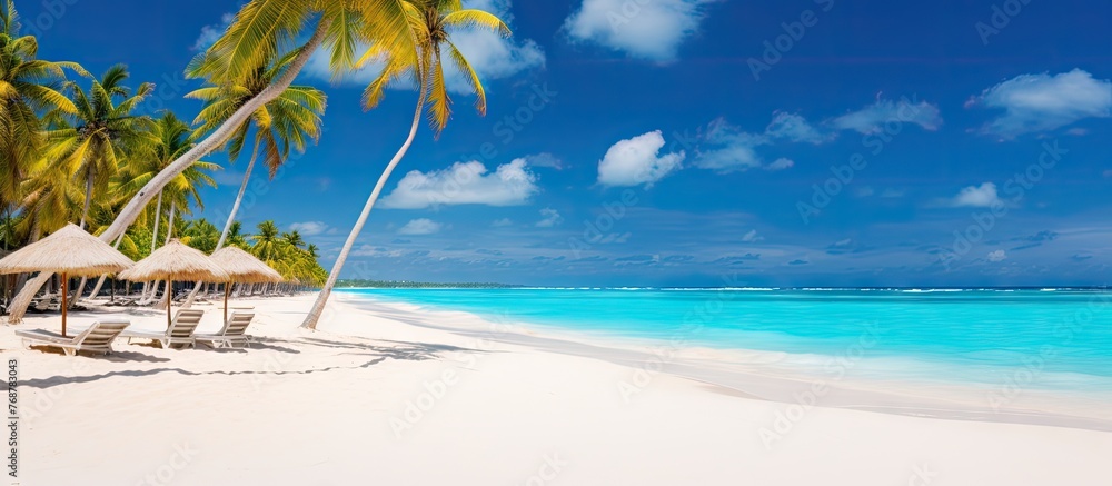 Poster chairs and palm trees adorn the sunny beach of punta cana, creating a tropical paradise getaway for 