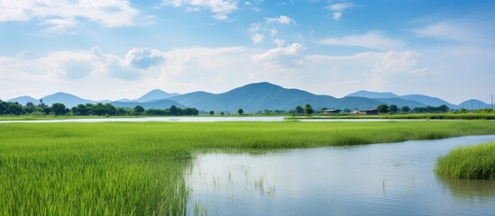 Scenic view of a tranquil lake surrounded by lush green grass and a majestic mountain in the...