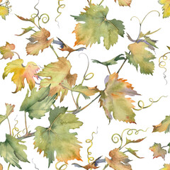 Seamless pattern with green grape branches on white background. Grapevine watercolor illustration.