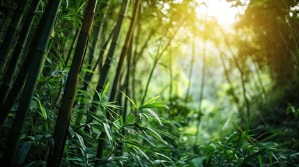 Foto auf Glas Lush bamboo forest background, dense green bamboo stalks, tranquil nature scene. © neirfy
