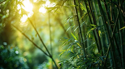 Fototapete Rund Lush bamboo forest background, dense green bamboo stalks, tranquil nature scene. © neirfy