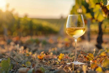 Zelfklevend Fotobehang Verre de vin blanc posé dans les vignes, vignoble en arrière plan, ia générative © sebastien montier