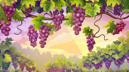 Watercolor of  grape tree on sunny background. Ripe grape hanging from a tree branch in a grape orchard. - obrazy, fototapety, plakaty
