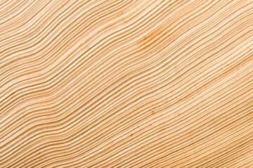 Background of dried palm frond, close up. - 768790871