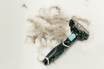 Brush for wool. Dog hair with a comb for shedding hair
