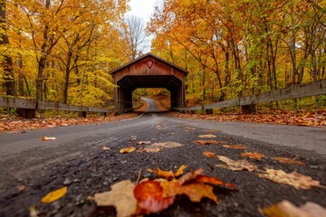 Scenic view of an abandoned covered bridge surrounded by a blanket of autumn foliage in Michigan