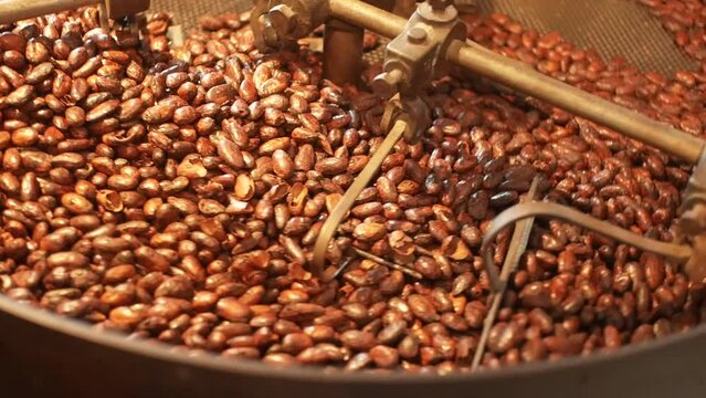 Closeup of cocoa beans transform into chocolatey perfection through rotator roast