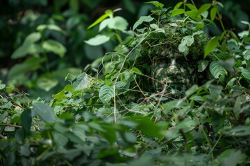 Fototapeta premium person camouflaged in greenery, laying traps for game