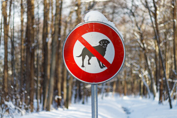 No dog and no pets allowed sign in a snowy winter park.