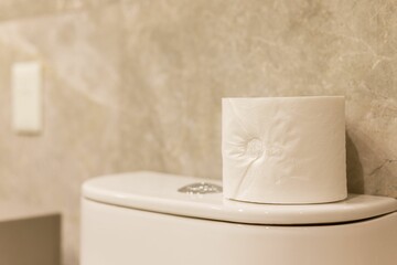 Close-up shot of a white roll of toilet paper placed atop a modern bathroom lid.