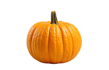 Obraz premium Single fresh orange pumpkin isolated on white background