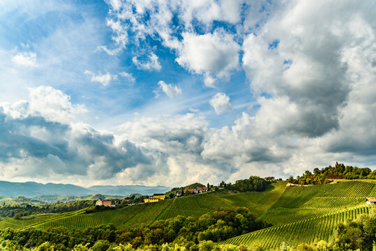 Austria Vineyards Leibnitz area south Styria travel spot