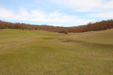 A grassy field with white text