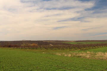 A large sign in a field