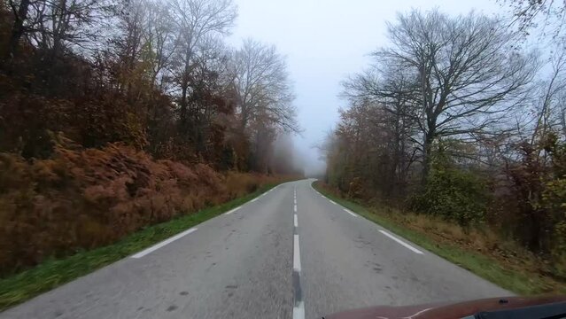 Beautiful view from a driver's perspective driving on a road between trees during a foggy autumn