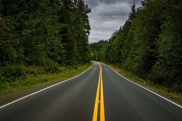 Scenic road with a bright yellow centerline winding through a lush forest.