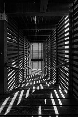 Greyscale of a long, slender hallway with sunbeams streaming through the wooden walls