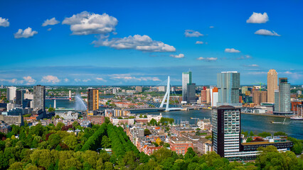 Panorama of Rotterdam city and the Erasmus bridge Erasmusbrug over Nieuwe Maas river from Euromast - 768817441
