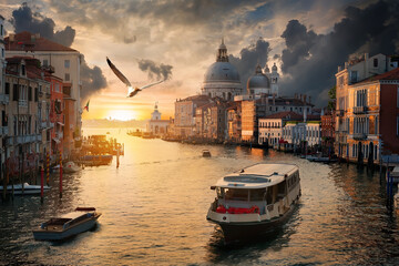 Seagull over Grand Canal - obrazy, fototapety, plakaty
