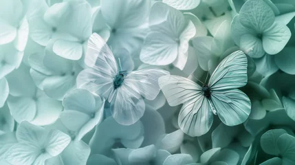 Rideaux velours Papillons en grunge serene split background featuring pastel tones of pale blue and mint green.
