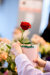 Female hands of florist holding one red rose and cardboard gift box for making bouquet