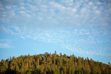 A beautiful view of a forested mountain under a blue sky