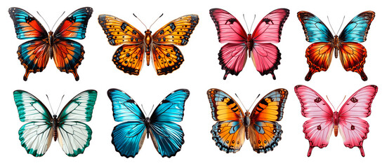 A collection of colorful butterfly illustrations displayed against a grey background