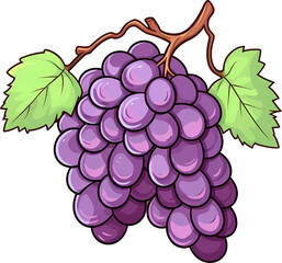 Illustration of Grapes