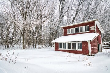 Old red chicken coop covered in snow.