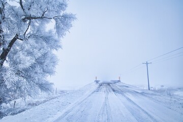 Foggy road with a bridge and frost-covered trees and power lines