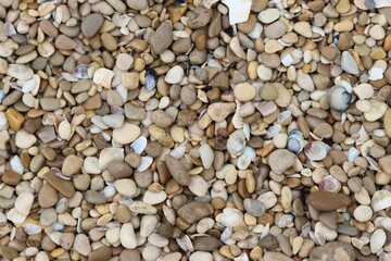 Variety of pebbles and rocks in a pile on the beach