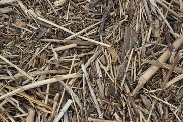 Texture of a pile of sticks and grass