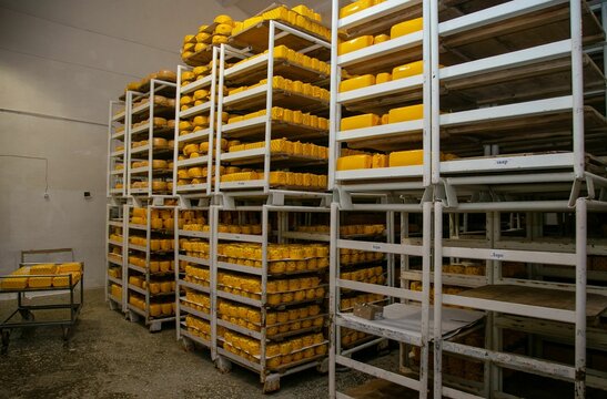 Metallic shelves of cheese in a factory
