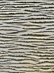 Decorative stone wall texture