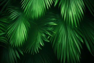 Close-up of lush green palm leaves in a tropical rainforest