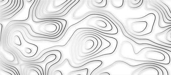 Abstract topographic contours 3d map background .topographic line texture background .monochrome image .stylized height of the topographic map contour in lines.	