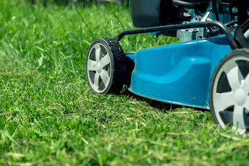 Fototapeta premium Lawn mower cutting grass. Small grass cuttings fly out of lawnmower. Grass clippings get spewed out of a mower pushed around by landscaper. CloseUp. Gardener working with mower machine. Mowing lawns