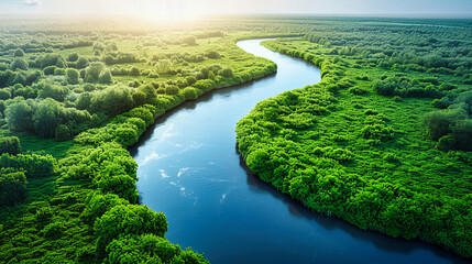 Tropical Aerial Vista: A Drones Journey Over Mangroves and Rivers, Exploring Natures Network - obrazy, fototapety, plakaty