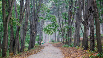 Fototapeta premium chisinau, republic of moldova, fog in the city